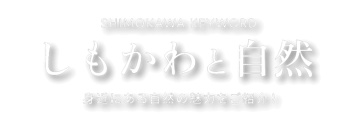 しもかわと自然 身近にある自然の魅力をご紹介！